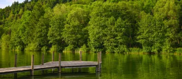 water en bos
